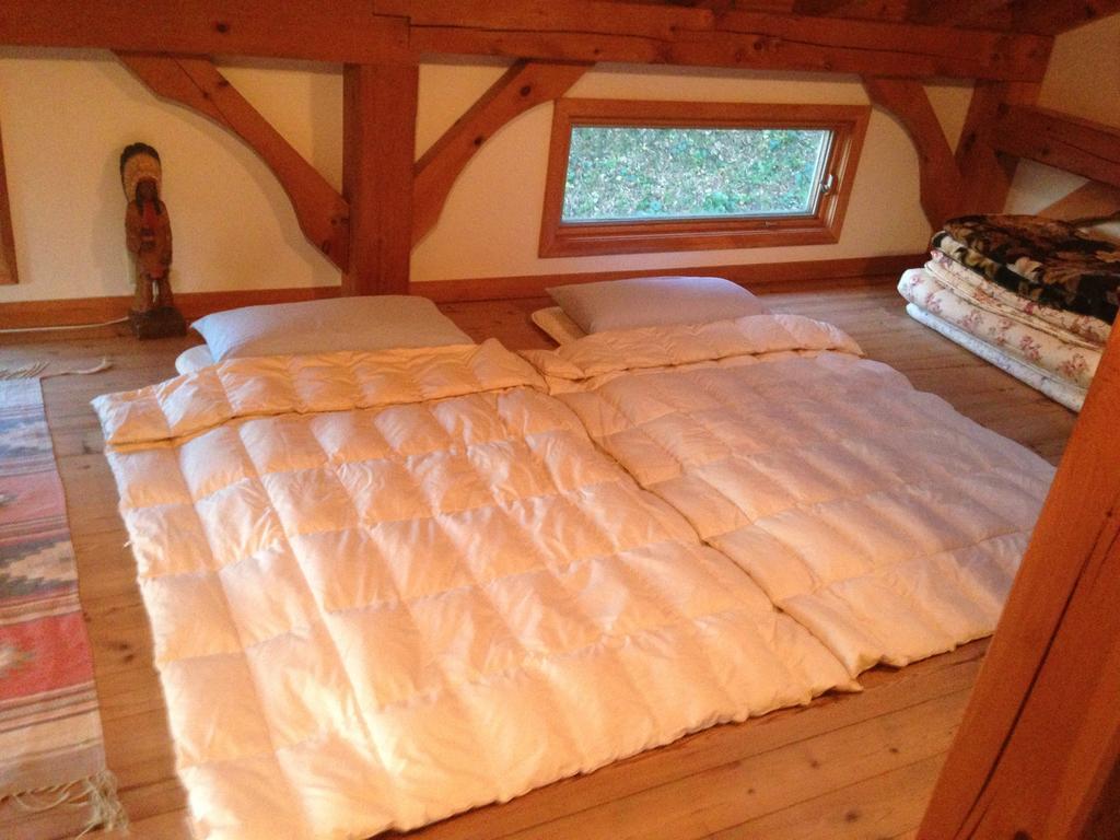 Patagonia Home Shimoda  Rum bild